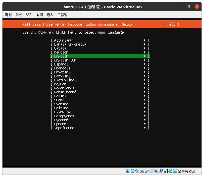 Ubuntu 20.04.1 LTS Server 설치-17
